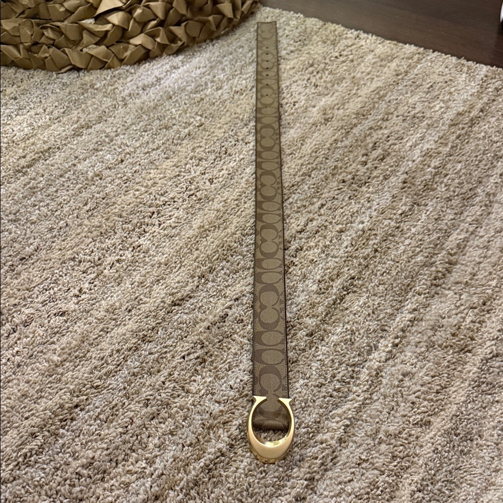 Brown and Gold Women's Belt - Picture 3 of 4